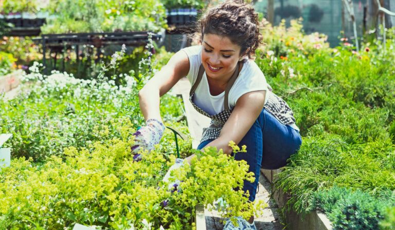 Digital Marketing for Gardeners: Growing Your Online Presence