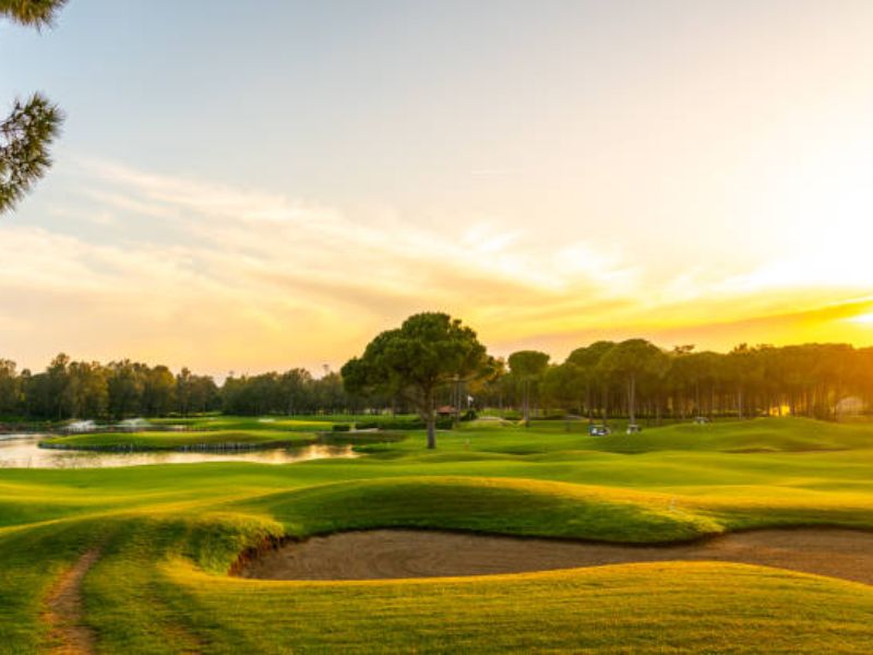 A Guide to Effective Social Media for Golf Courses